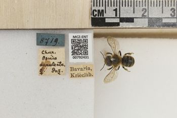Media type: image;   Entomology 792431 Aspect: Labels